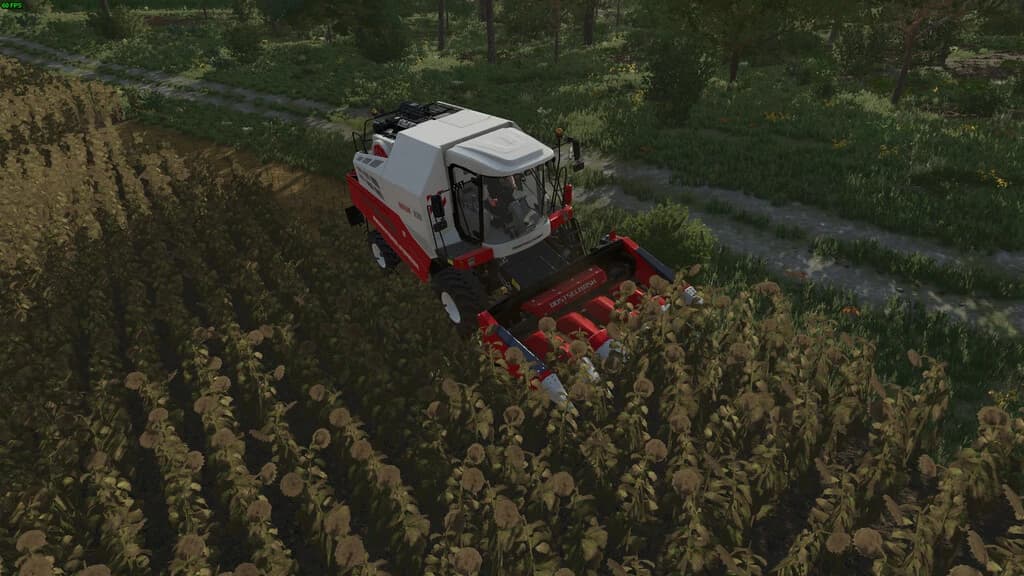 ROSTSELMASH CORN CHAMPION 5R