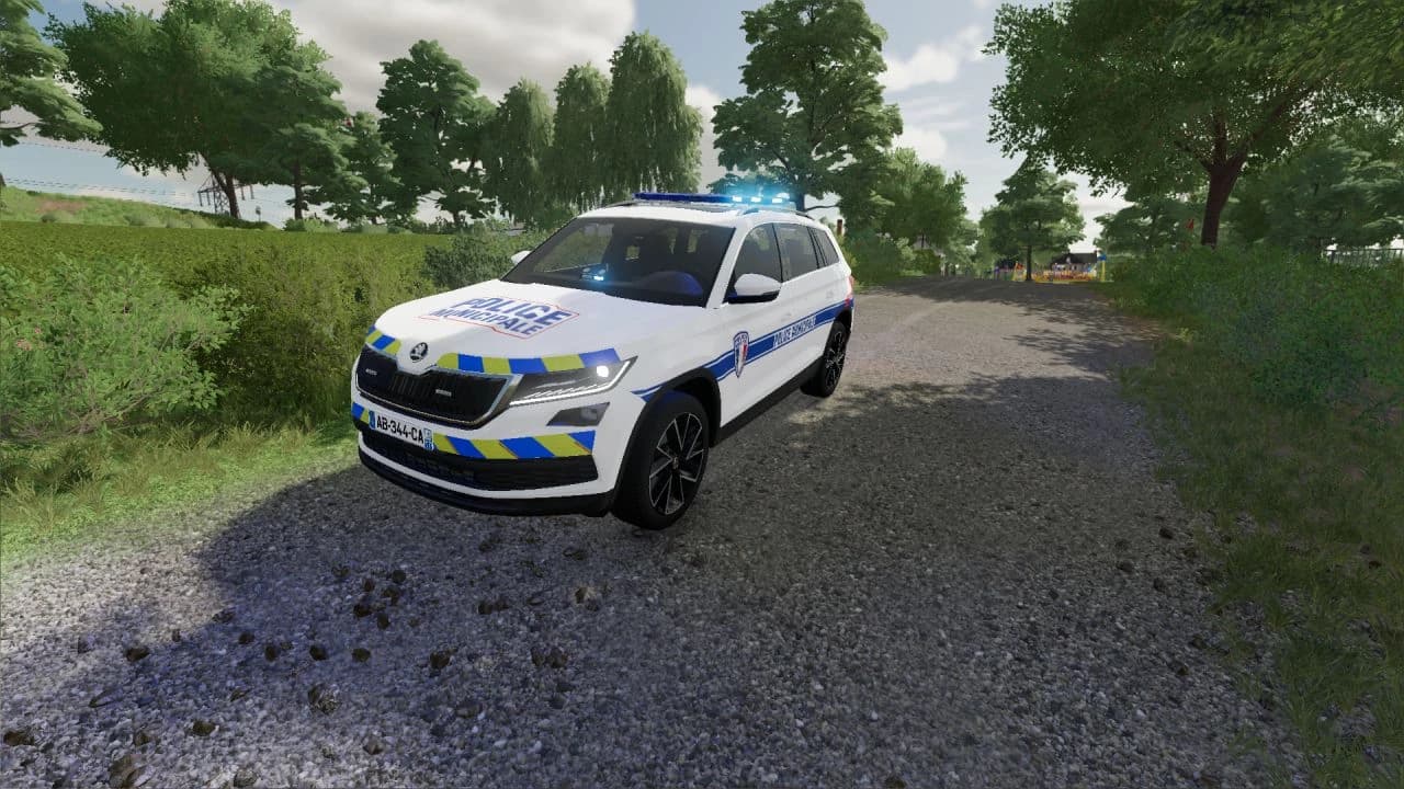 SKODA KODIAK 2019 PM