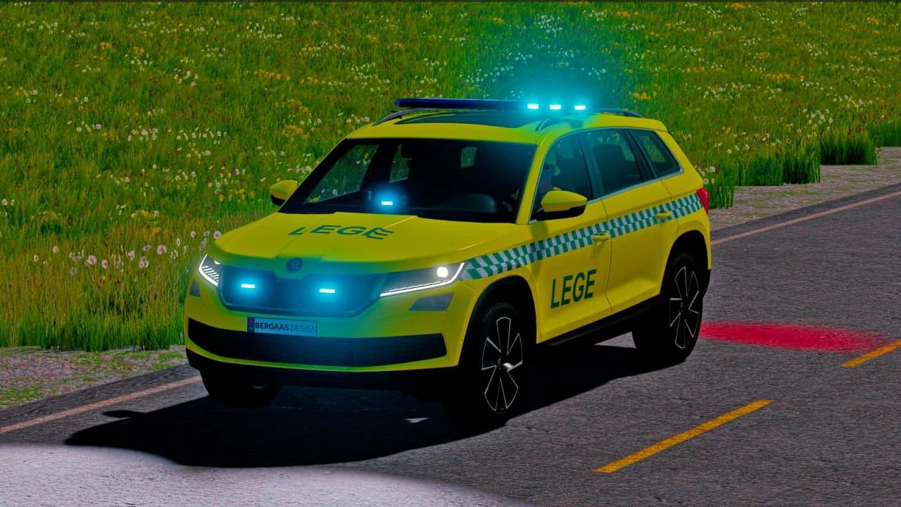 SKODA KODIAQ 2019
