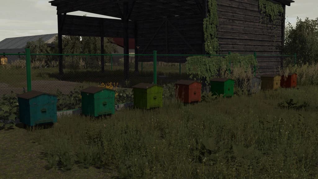PACK OF BEEHIVES