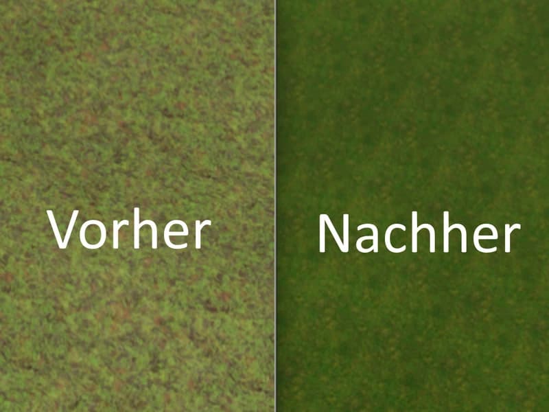 TERRAIN TEXTURE GRASS