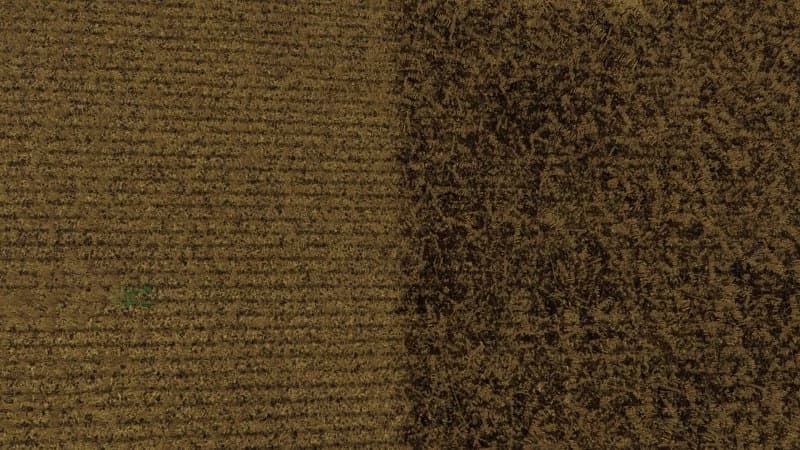 TEXTURE OF MANURE ON STUBBLE