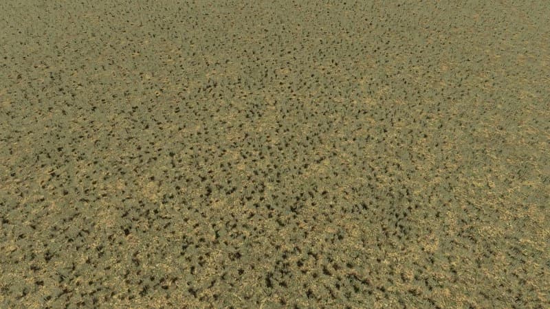 TEXTURE PACK