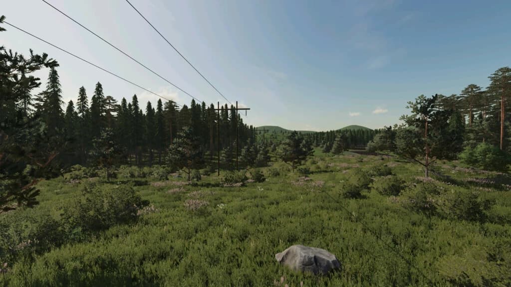 The Mythical Woods