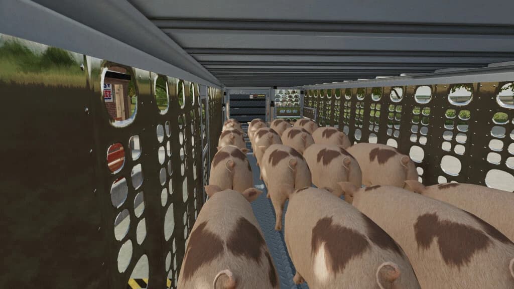 WILSON SILVERSTAR LIVESTOCK TRAILER