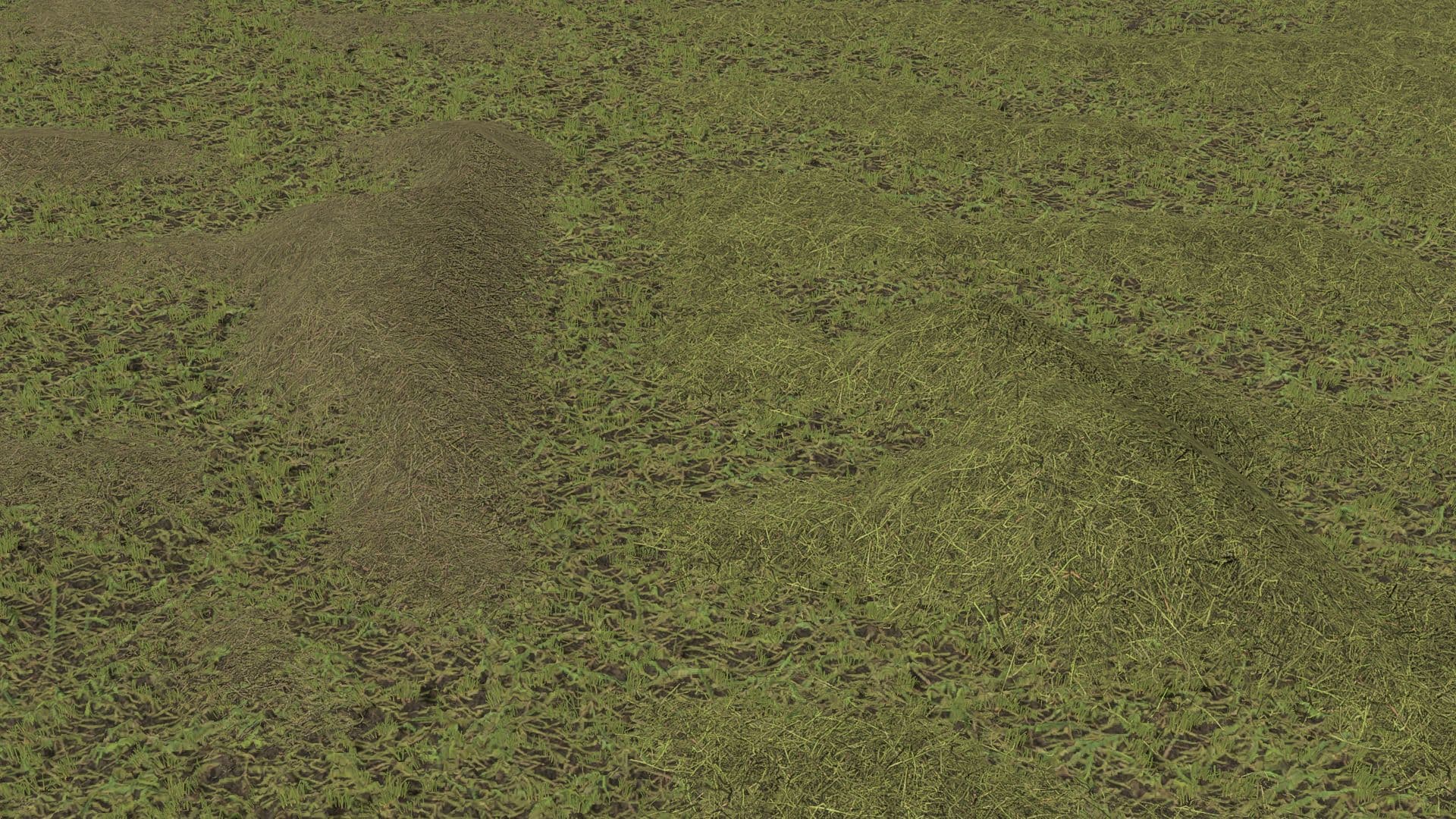 Grass/Hay Texture