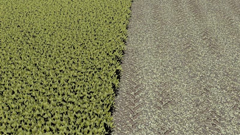 SUGARBEET TEXTURE - ROWCROP READY