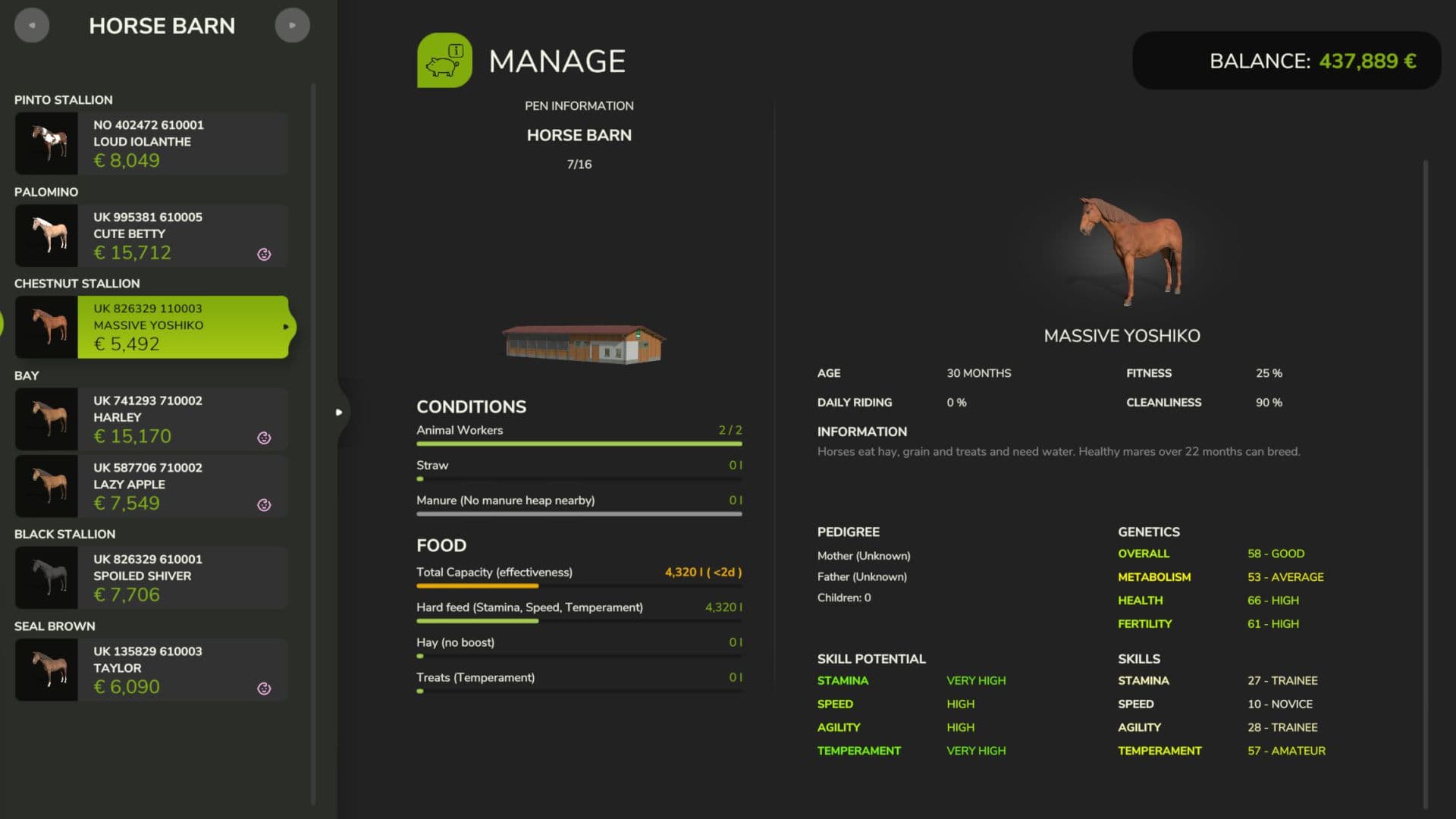 Realistic Equestrian