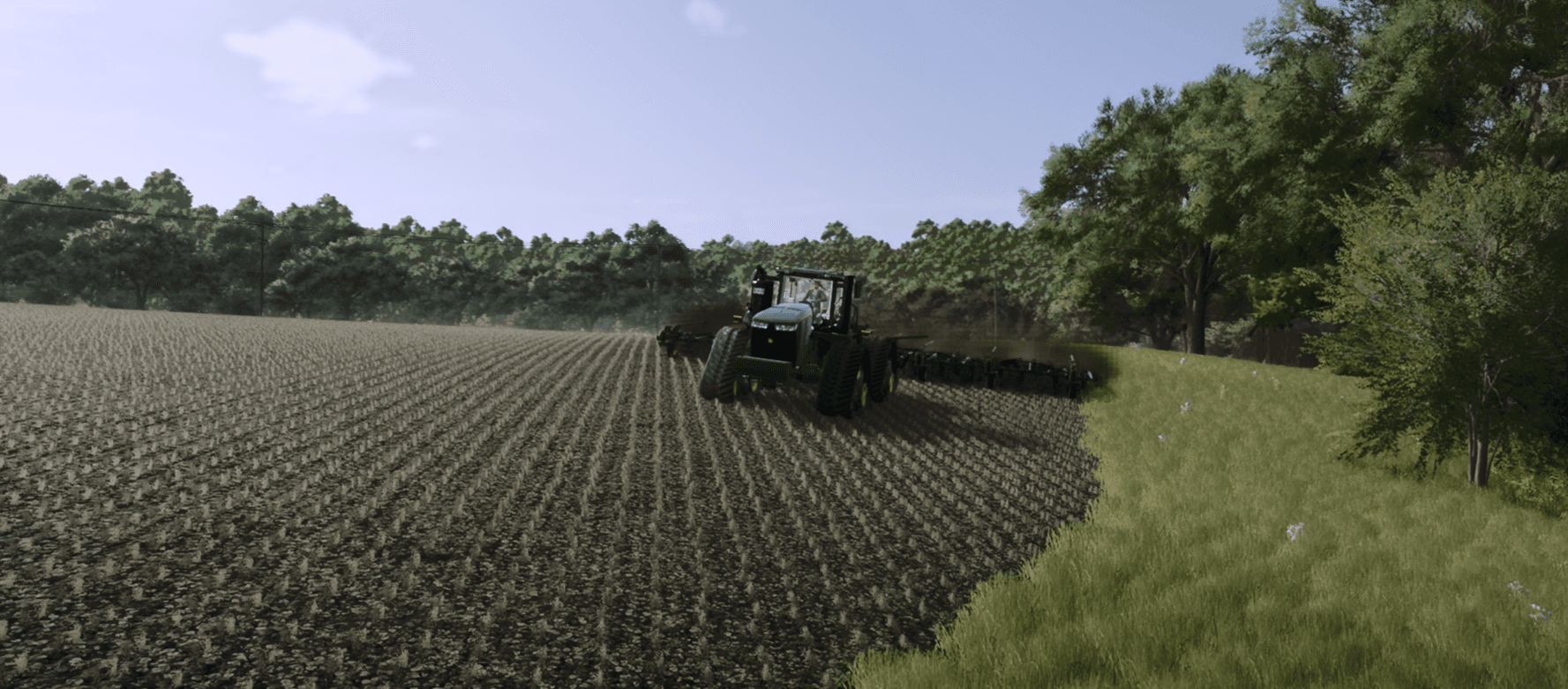 Weeds After Plowing