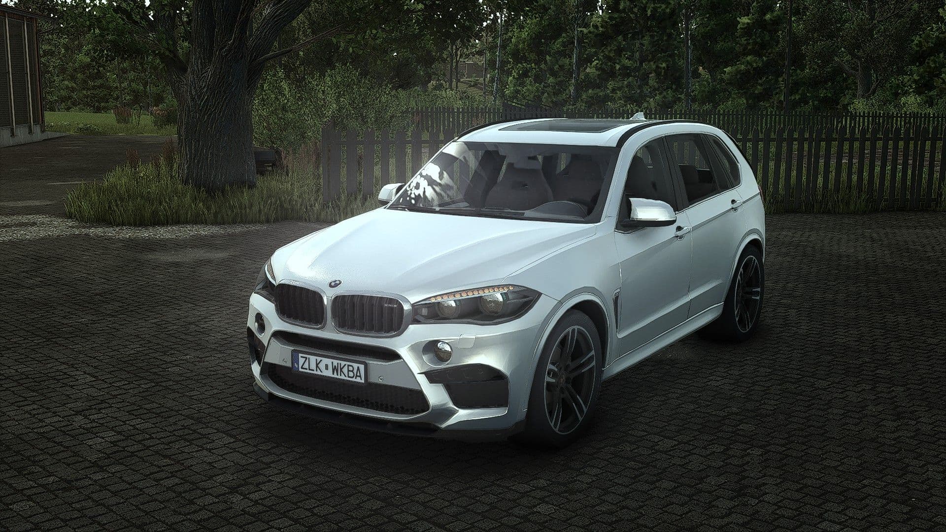BMW X5M