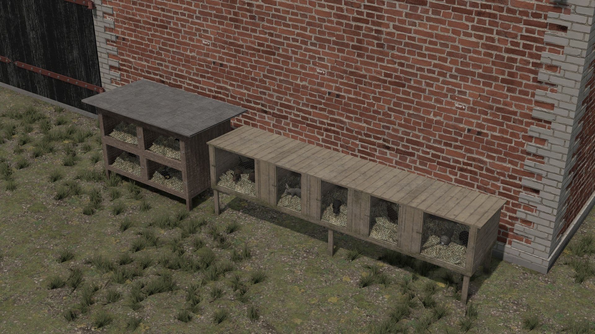 Cages with Rabbits