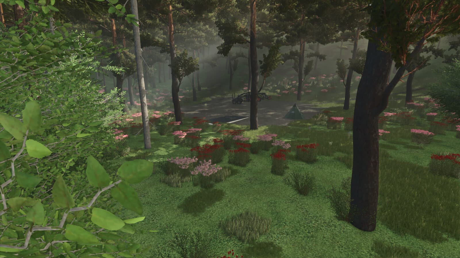 Forest Challenge