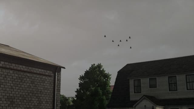 Real Sky