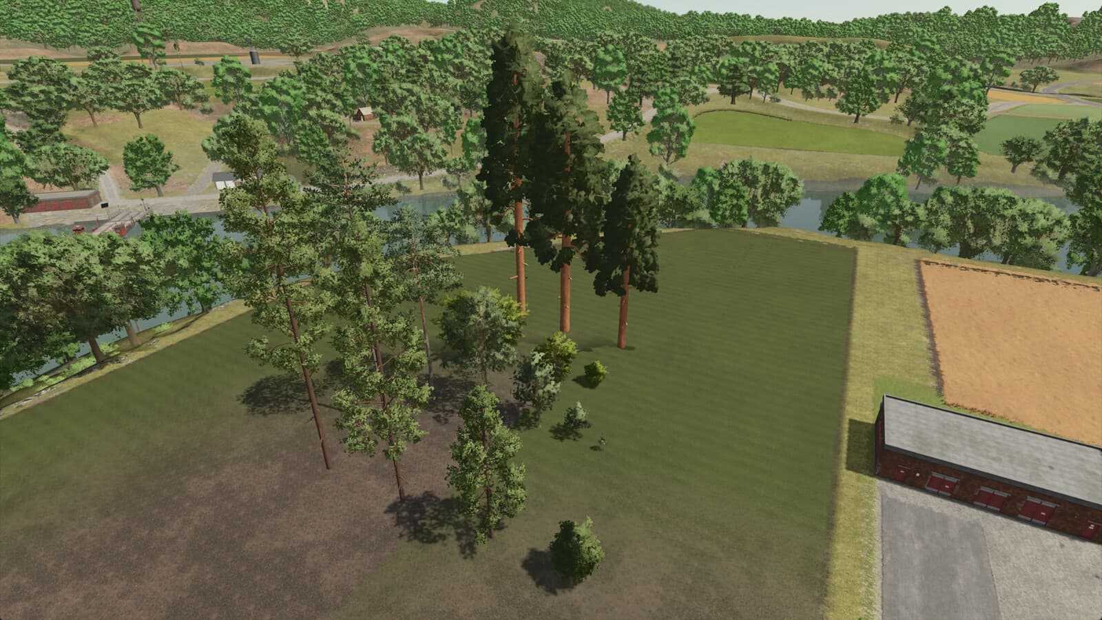 Silverrun Trees