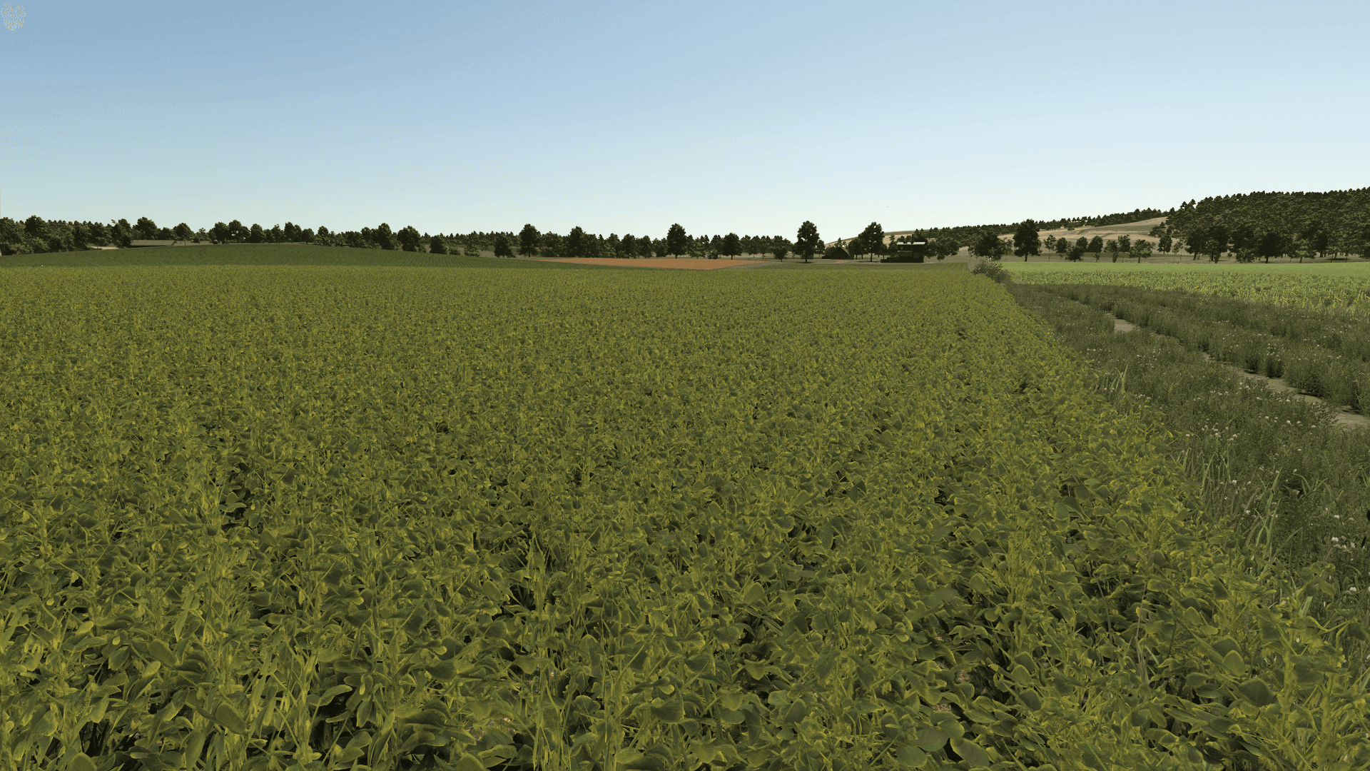 Improved Soybean Plants