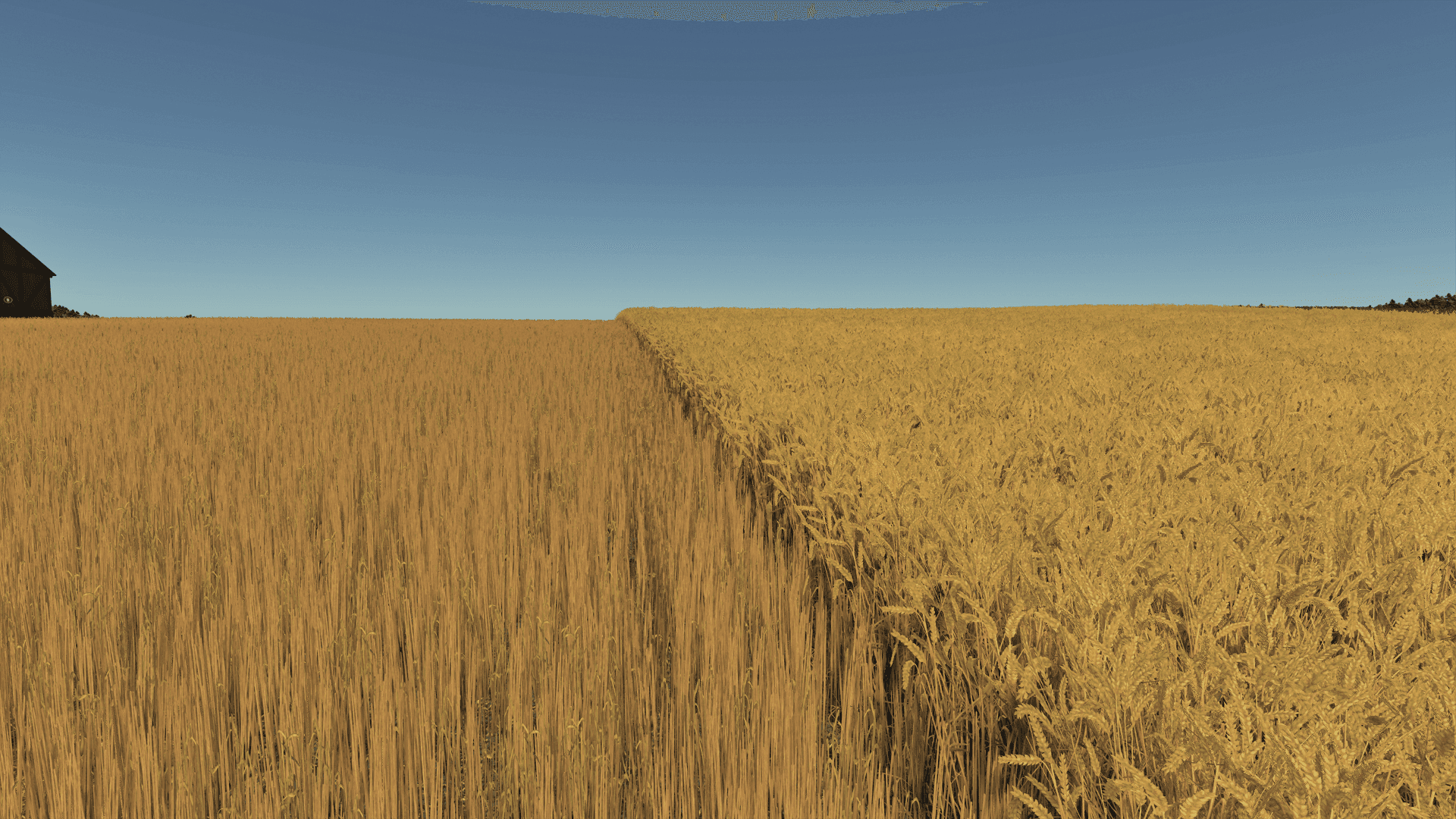 Improved Wheat XML