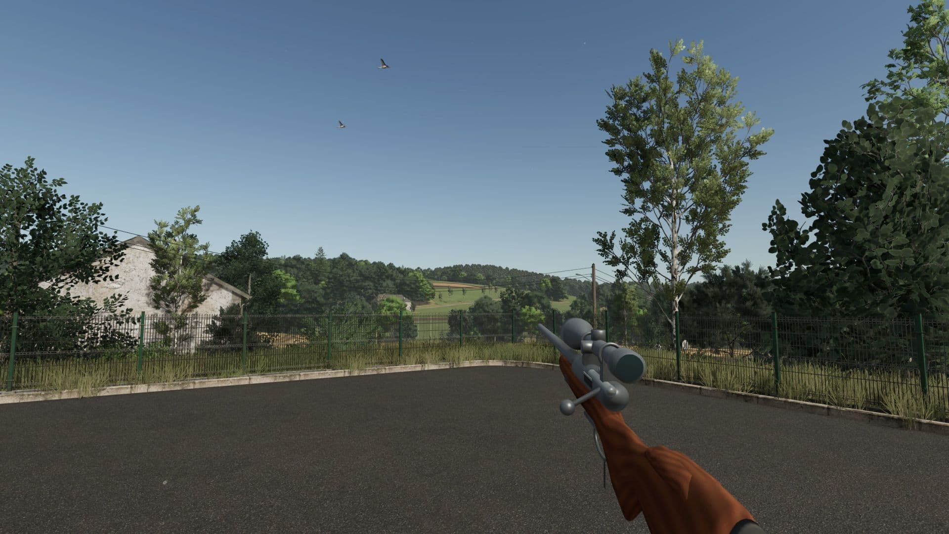 Wild boar hunting – Hunting expansion